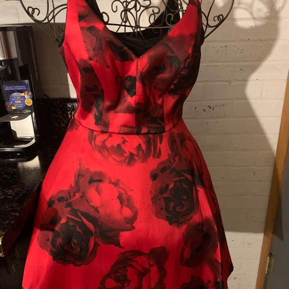 Speechless Red and Black Floral Dress